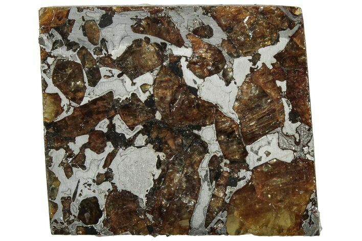 Brahin Pallasite Meteorite ( g) Slice - Belarus #307422